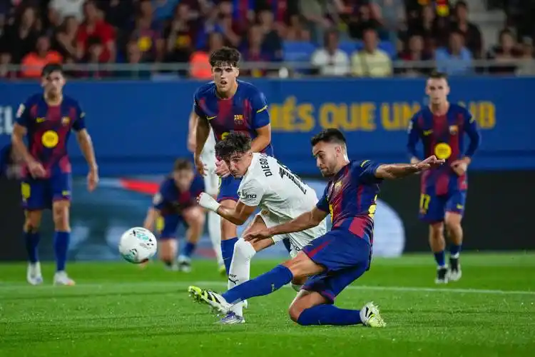 雨燕直播在线观看高清